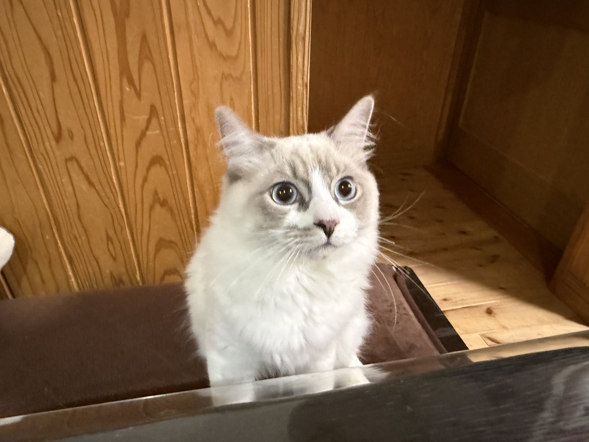 まーくん a.k.a まんくん (@makyoslash) / Posts / X