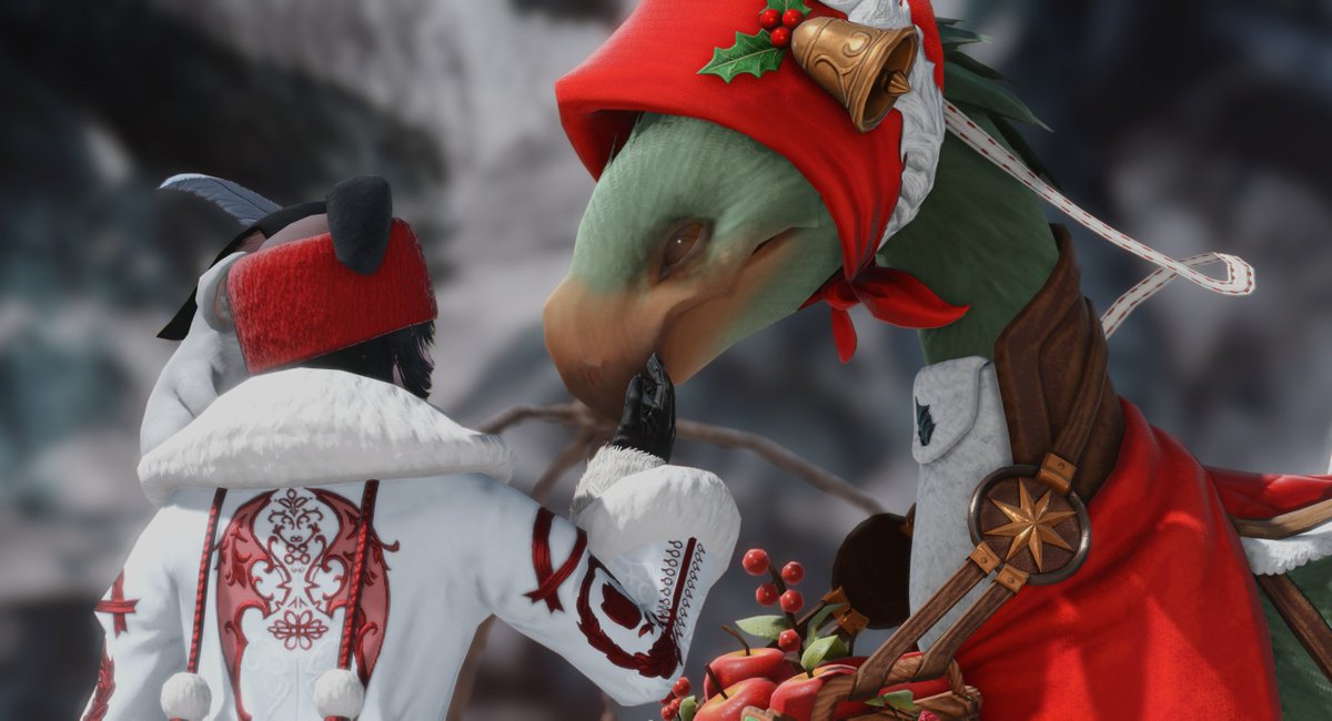 코크나무 tweet media