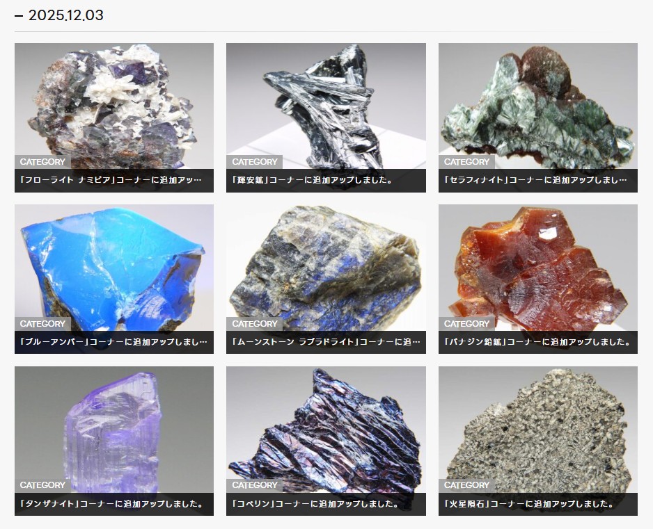 ⭐究極レア!!!　イブナ隕石　標本　小