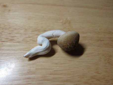 meeper 🍏 tweet media