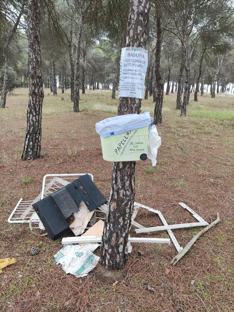 MEDIO AMBIENTE: Tras conocer la situación generada en un pinar colindante al paraje de "el Perú", promovida por la vecindad anónima, haciendo una llamada de atención sobre la basura en nuestro medio natural, el Ayuntamiento de La Seca ha intervenido retirando la basura recogida💚
