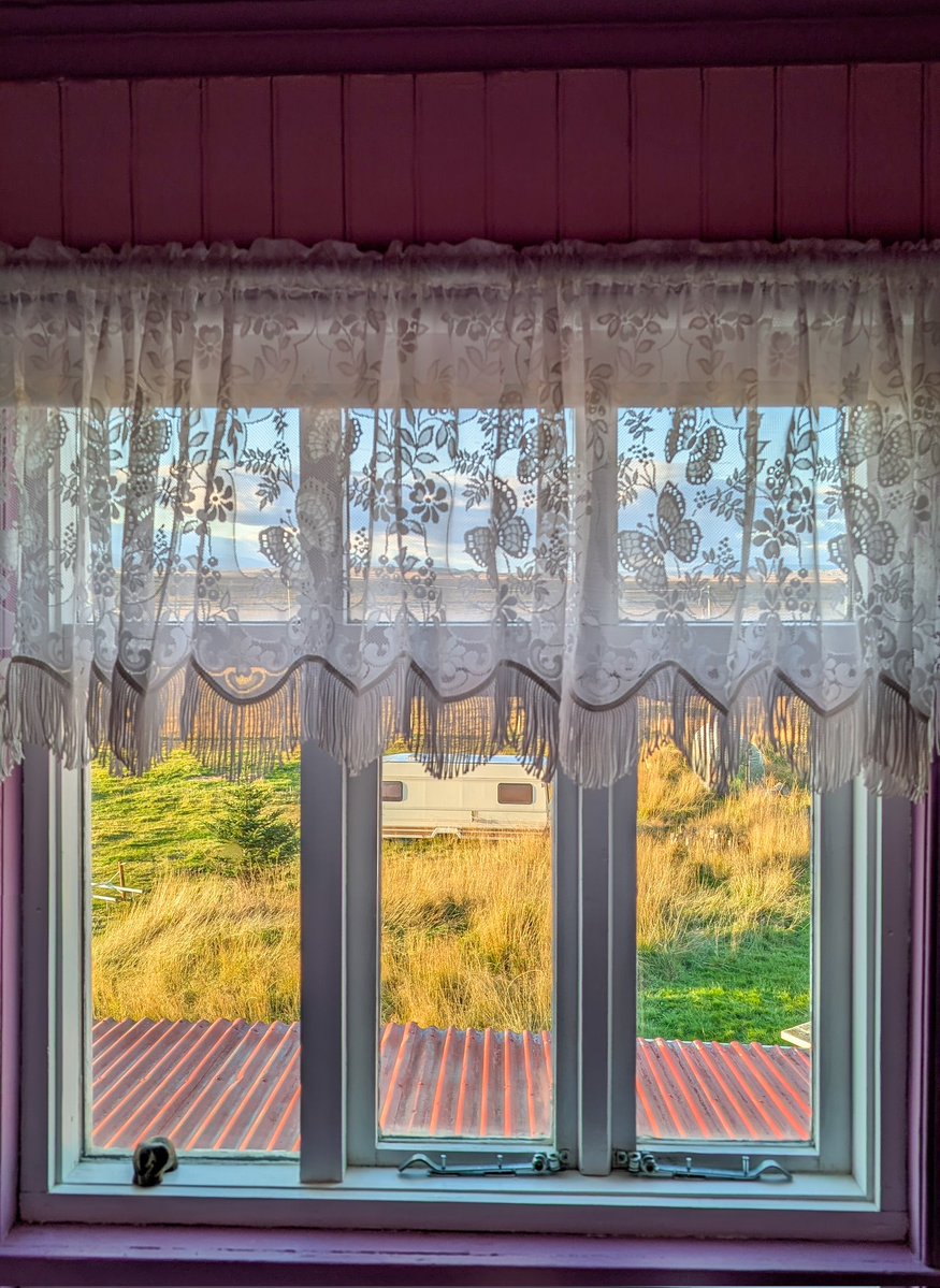 SingingLehrerin's tweet image. #AlphabetChallenge #WeekWforWindows