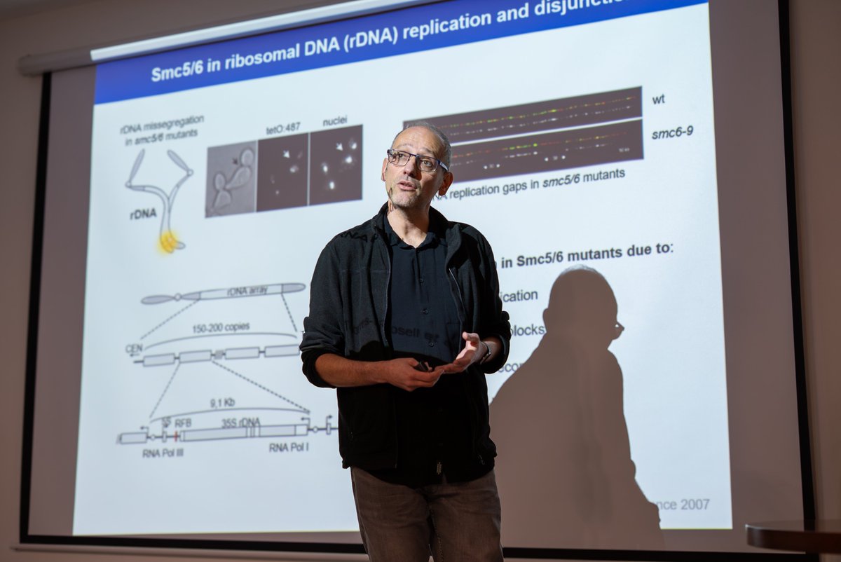 Instituto de Tecnologías Biomédicas tweet media