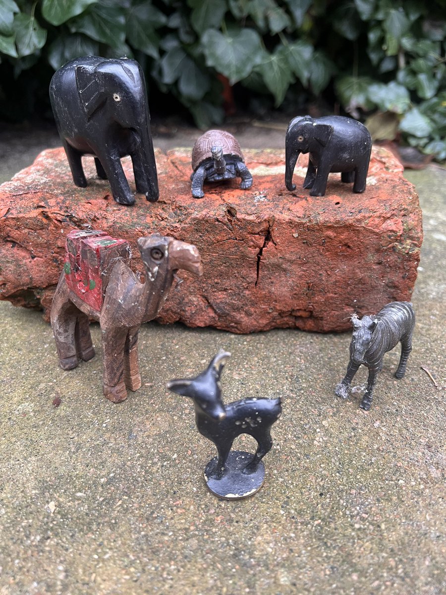 Steve Petch tweet media