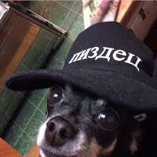 это я ночью читаю «Чёрную избу» вместо того, чтобы спать