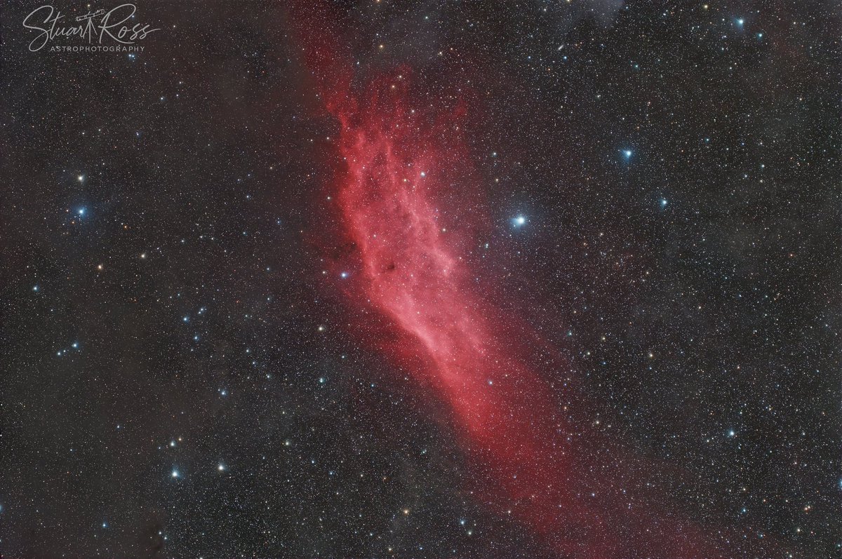 StuartRossAstro's tweet image. NGC 1499, the California Nebula, is a large emission nebula in Perseus located around 1,000 light-years away.
Its distinctive shape is created by clouds of hydrogen gas glowing under intense ultraviolet radiation from the nearby hot O-type star Xi Persei.
The bright, textured…