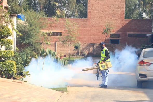 AkfLodhran31599's tweet image. With dengue cases increasing rapidly in Multan
Alkhidmat Foundation South Punjab carried out spraying in multiple areas to reduce mosquito breeding and protect citizens.
#dengue #avoid #spry #multan #AlkhidmatFoundation