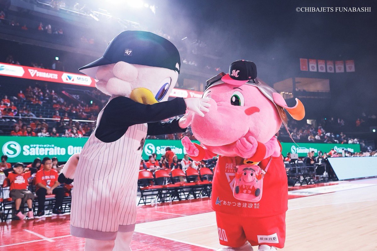 今週末の試合のチケットに一部空きが出ました❤️‍🔥🎫
6日はディーディーがご搭乗🐬
7日は千葉ロッテマリーンズさんとのコラボday⚾️
イベント満載の2日間ぜひお楽しみください♪
#千葉ジェッツ #starjets