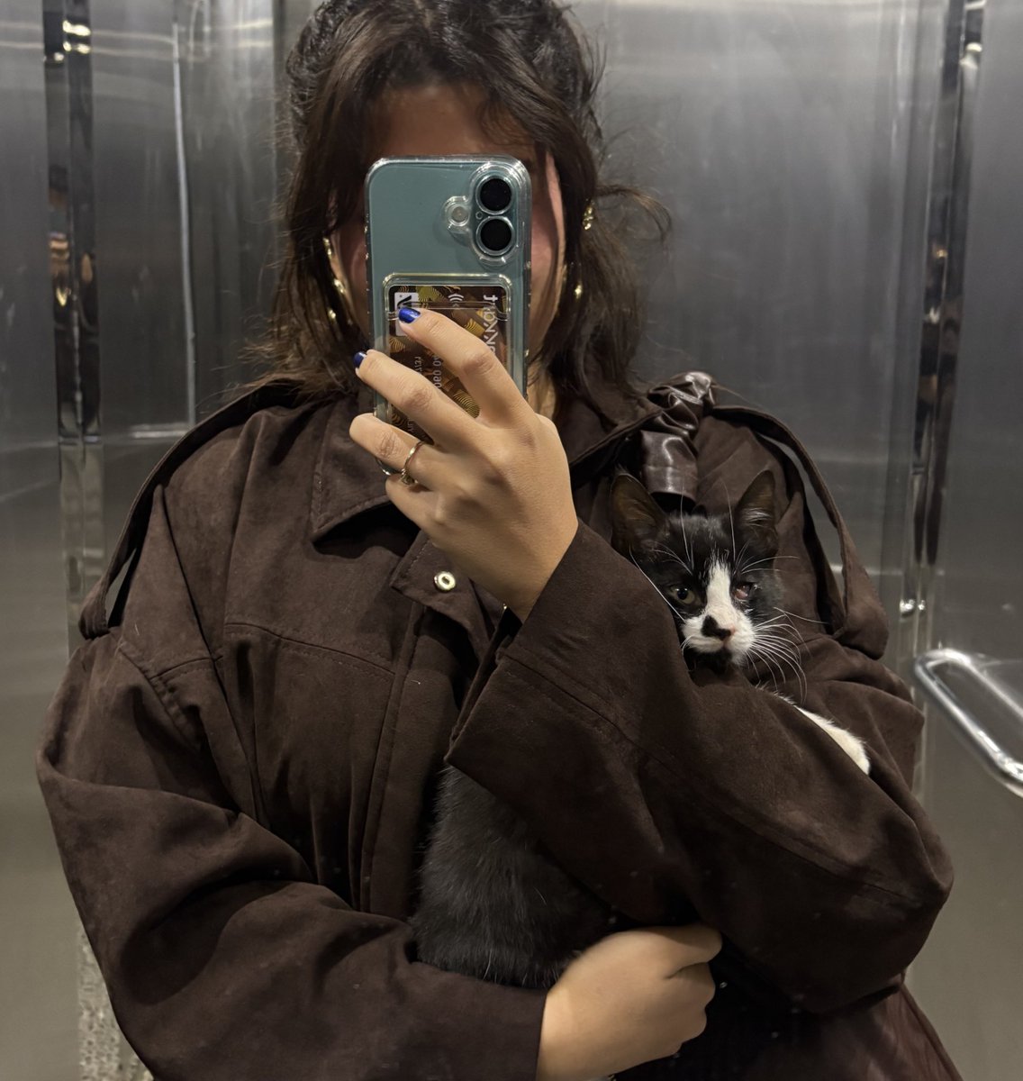 Arkadaşlarrrrrr Gümüşhane’de kedi buldum iyileştirip yuvalayacaz lütfen elimden tutar mısınız çok korkuorm