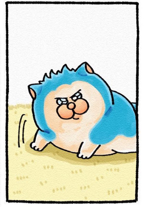 チャコ tweet media