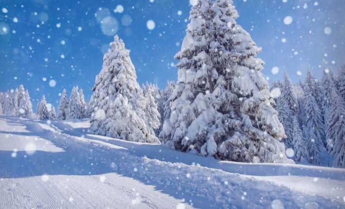 Scende la neve:
tutto si fa lieve, 
anche i miei pensieri!

#haiku
#DicembreDAmare
#VentagliDiParole