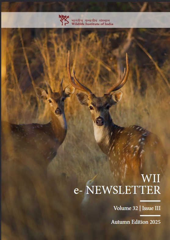 wii_india's tweet photo. The Autumn 2025 edition of WII’s Quarterly e-Newsletter (Vol. 32, Issue 3) is here, bringing stories of conservation, research, and field experiences from across India. This edition features article from the veteran Dr Asad Rahmani offering insights on his experience on India’s wildlife conservation journey. Highlights on grassland ecosystems and excerpts on rare observation of the Critically Endangered Jerdon’s Courser and many more.  Dive in to know how science, community, and passion come together for wildlife conservation. 

@GobindsagarBha1 @RuchiBadola2  @wii_india  @SACONCoimbatore 

Read at: https://t.co/enkdN4J01i