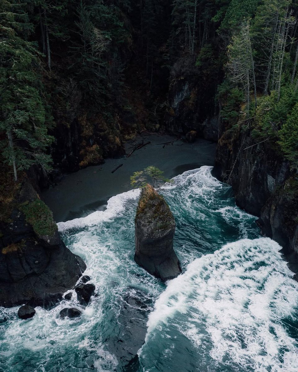 visualsofearth1's tweet photo. Oregon Coast https://t.co/SIz9t4TTG5