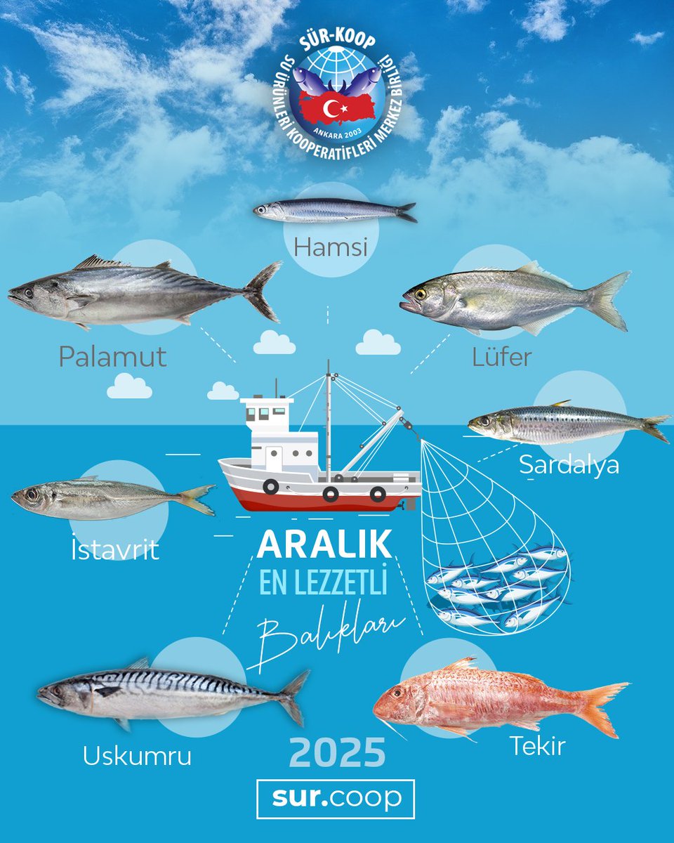 Aralık ayının en lezzetli balıkları 🐟🍽️🐟
.
.
.
.
.
.
.
.
#balık #bakıkçılık #bugünneyapsak #bugunnepişirsem #hangibalık #suürünleri #sezon #balıkçılıksezonu #suürünlerimühendisliği #barbun #sürkoop