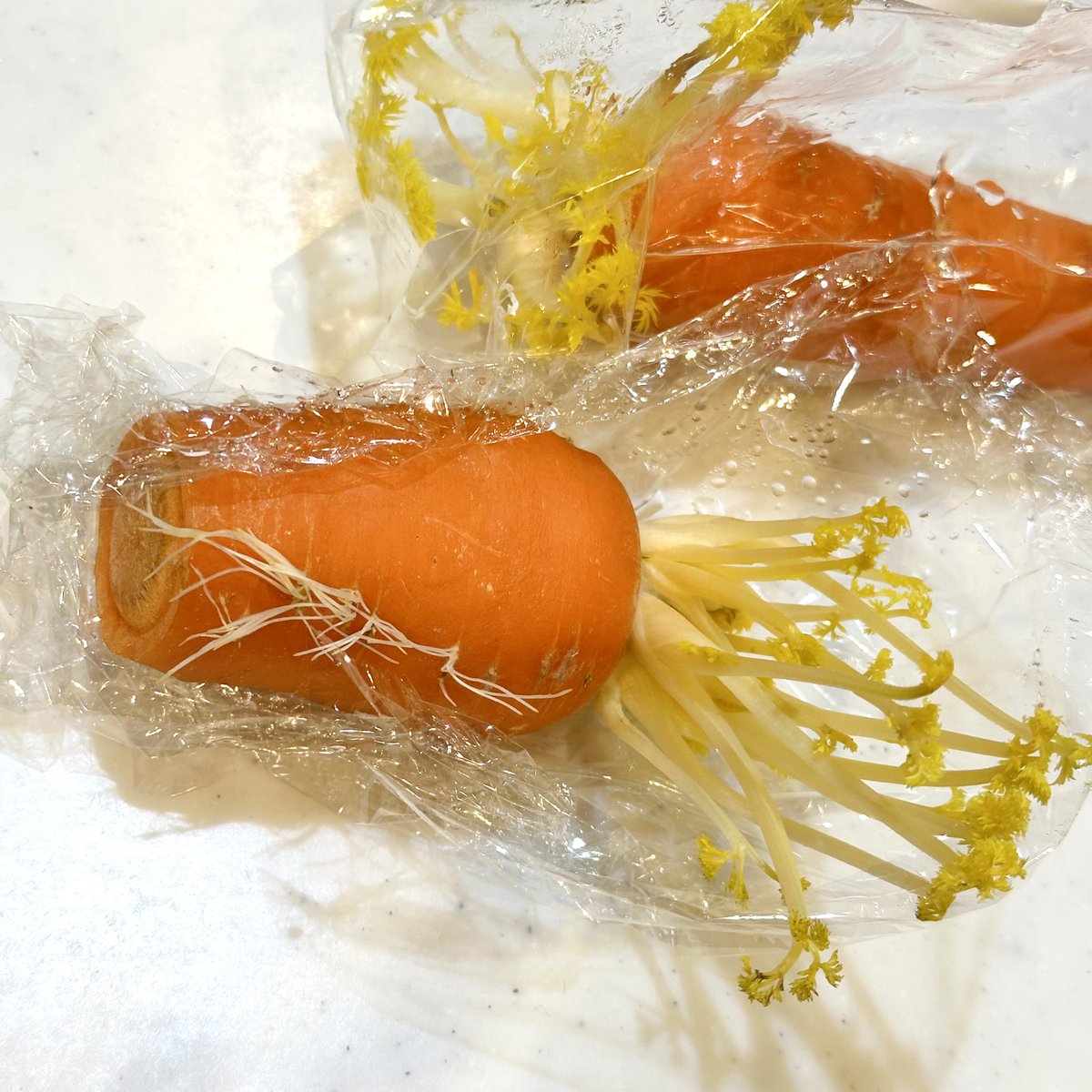 𝚜𝚒𝚝𝚘✦ (@sito6_9) / Posts / X