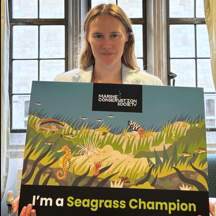 Marine Conservation Society tweet media