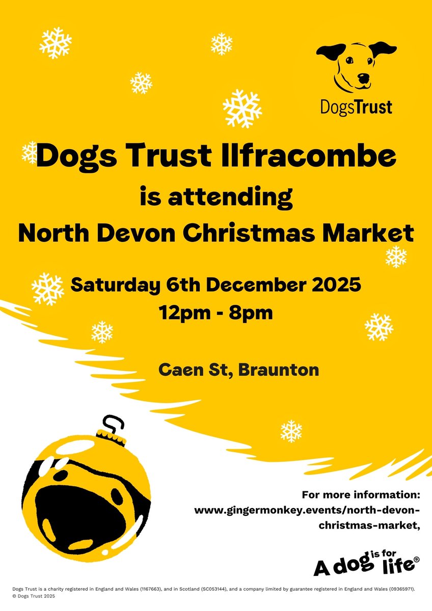 DT_Ilfracombe's tweet image. Come and see us! 🐶💛🐶

We will be at the North Devon Christmas Market.
Sat 6th Dec. 12pm - 8pm. Caen St, Braunton. 

#NorthDevon #ADogIsForLife #AdoptADog #AdoptFosterRescue