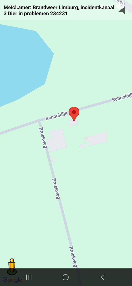 Dier in de problemen in Neer