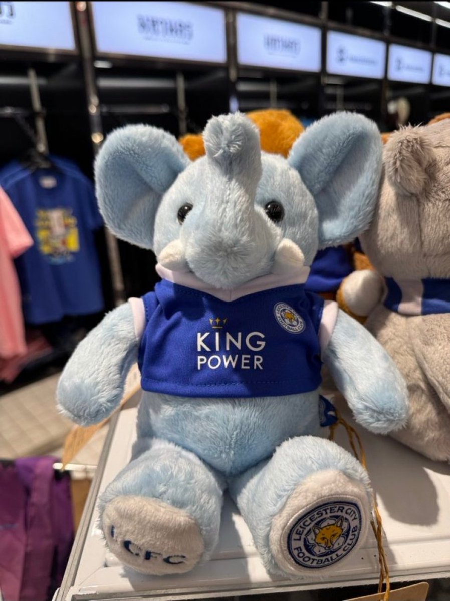 Ashleypp1986's tweet image. The club is trolling us! No club is that retarded,surely!  #lcfc