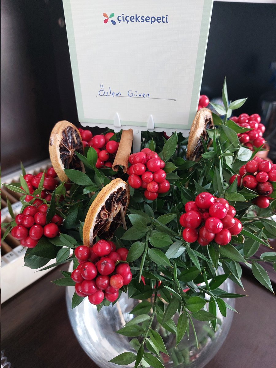 Dün arkadaşla beraber, kokinaya benziyor diye kampüsteki ağaçtan bunları kopardık.. 
Bugün gelen 🥳🥳
Benim isteklerin gerçekleşme hızı🥰