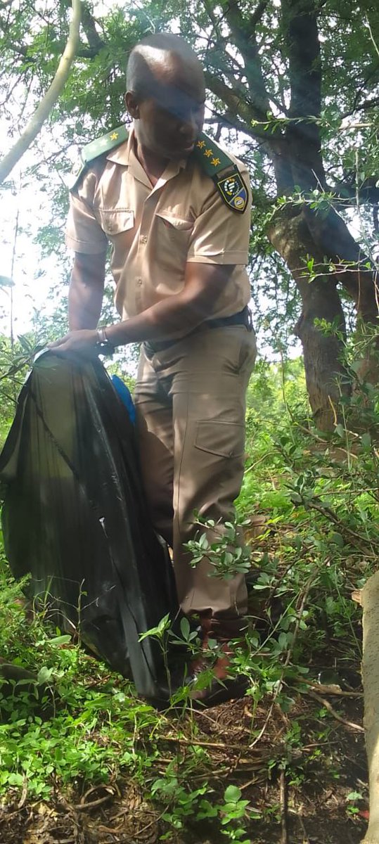 Fidelity_Secure's tweet photo. Fidelity ADT Garsfontein joined the Faerie Glen Community for a Tweefontein Spruit clean-up. Together, we’re making a difference!
#FidelityADT #Garsfontein #Gauteng #KeepingYouSafe #SecuringYourAssets #SafetyFirst #FidelityServicesGroup #WeAreFidelity https://t.co/4baZNRUHTS