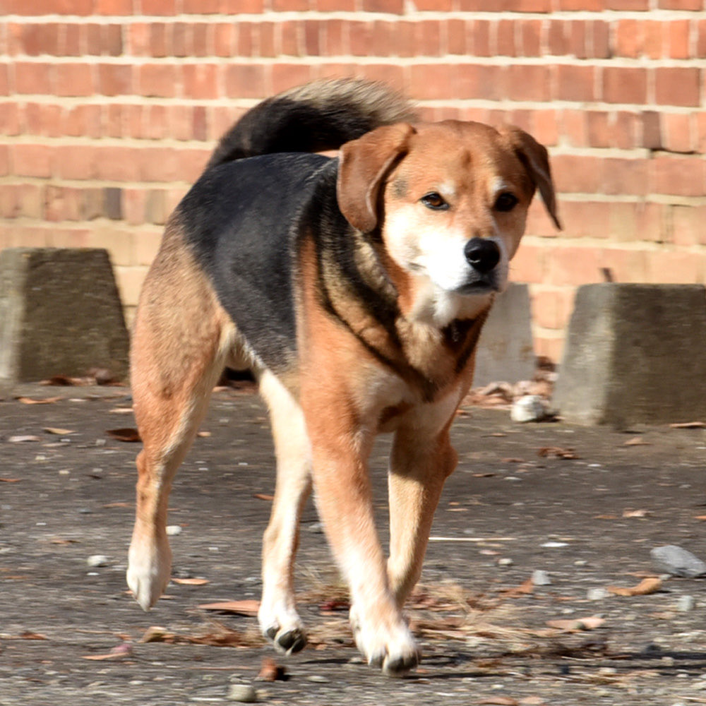 枝豆🌻 (@ajisaipino0711) / Posts / X