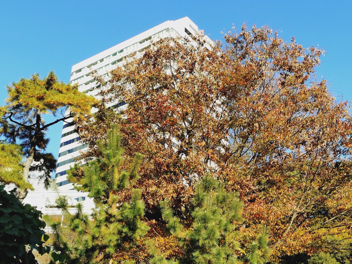 X4BK58rQJfUmJll's tweet image. 2025.12.3
季節外れ🤗
#名曲 ツィート1188 #September #竹内まりや 1978年
DecemberにSeptemberを聞くのもいいかも✨
「辛子色のシャツ」「見覚えのあるレインコート」曲始め 似てませんか☺️
MVは稲垣潤一さん EPOさんのコラボ👍
youtu.be/3Nd6tQHvgiI?si…
#オリジナルMV
youtu.be/_-qgnxwcJcs?si…