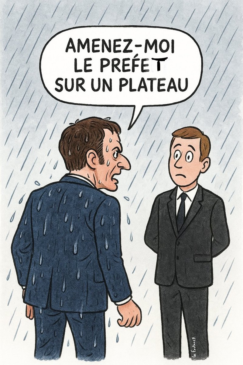 Le préfet du Pas de Calais a appris qu'on ne fait surtout pas marcher un monarque 500 mètres sous la pluie.
Il a été viré de ses fonctions, le monarque n'étant plus habitué à marcher au milieu des gueux 🤡🤡🤡