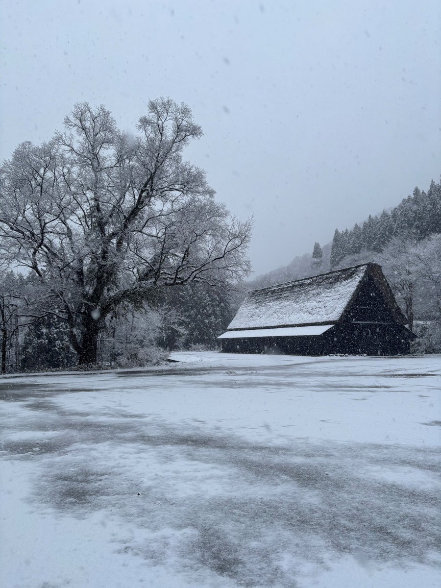 SCOT_Toga's tweet photo. SCOT吉祥寺公演もいよいよ来週に迫ってきました。
利賀では、午後から雪が降りだし、今日から３日間降り続くようです。
#SCOT #吉祥寺シアター #鈴木忠志 https://t.co/MScV8JjQLV