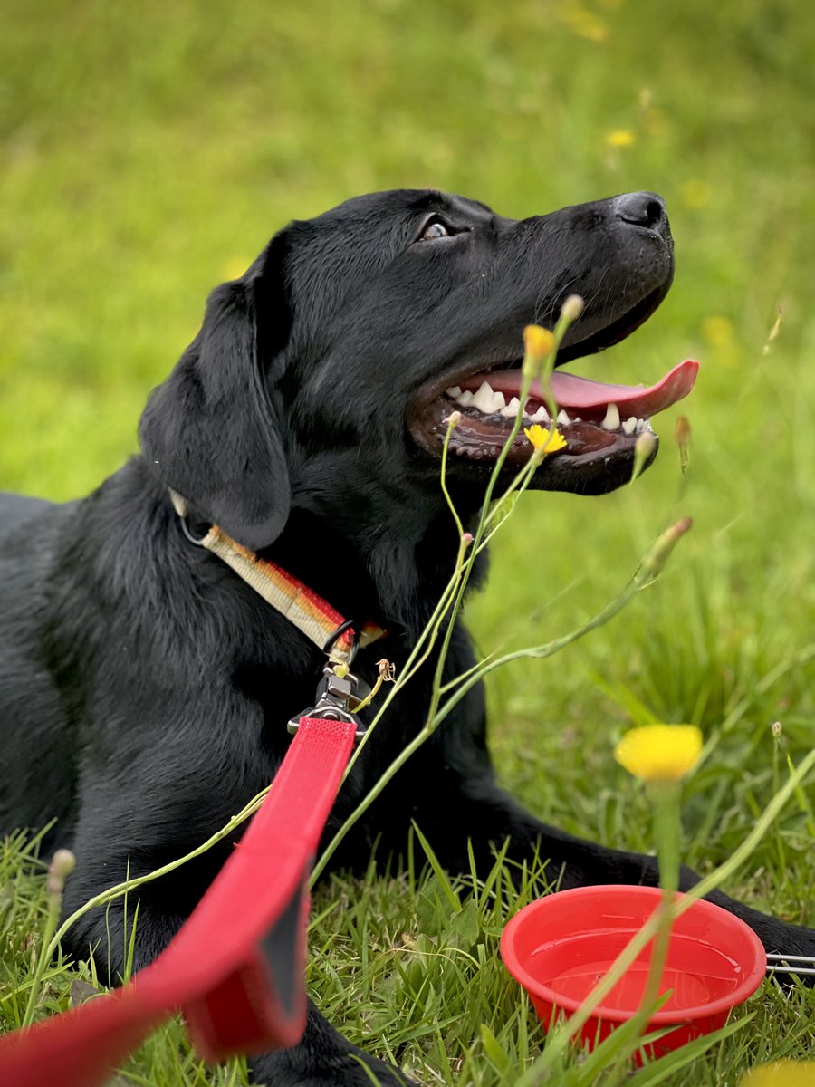 はるちゃん (@Haruchan__0205) / Posts / X