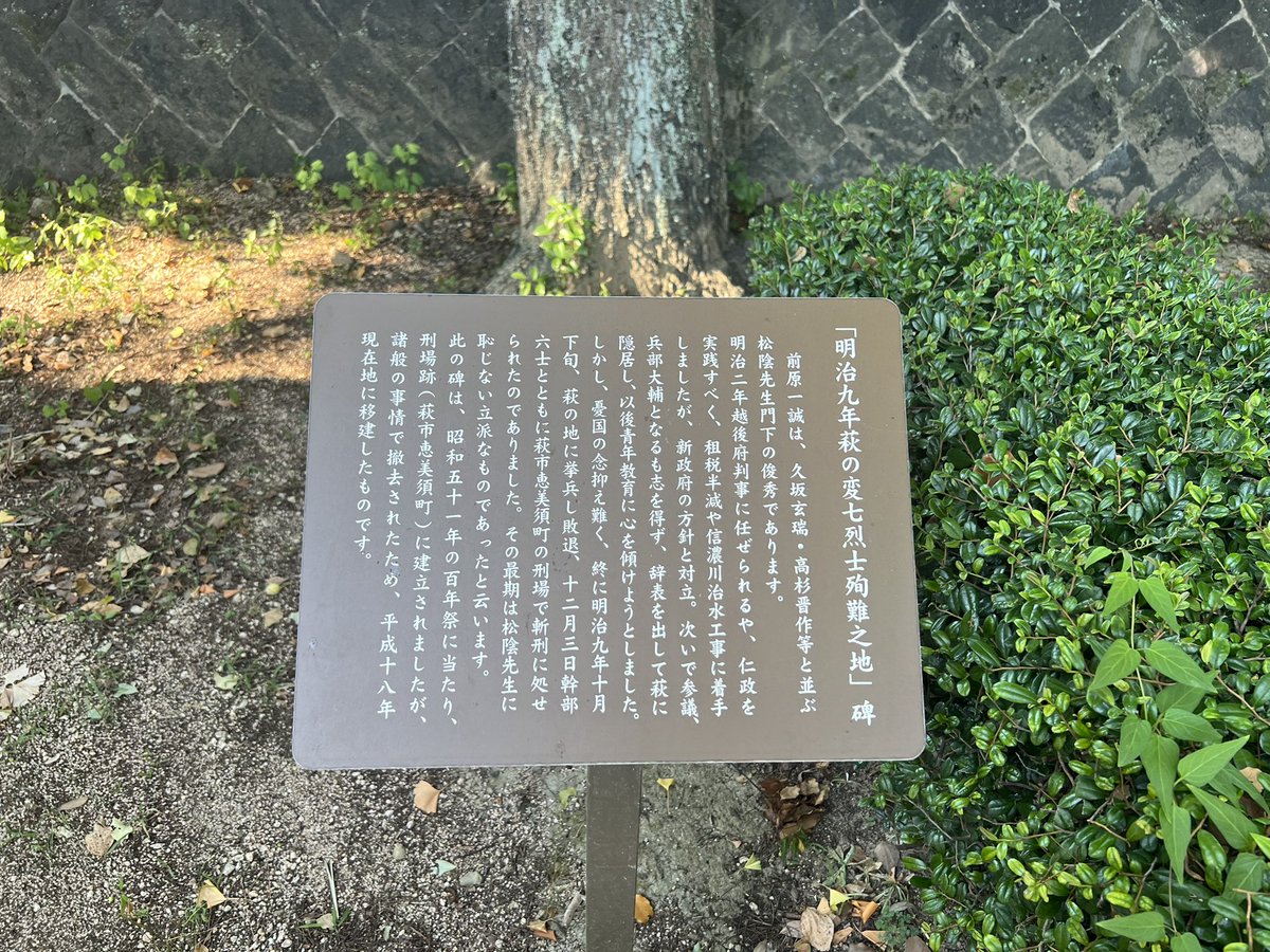 トロロヅキ (@tororoduki) / Posts / X