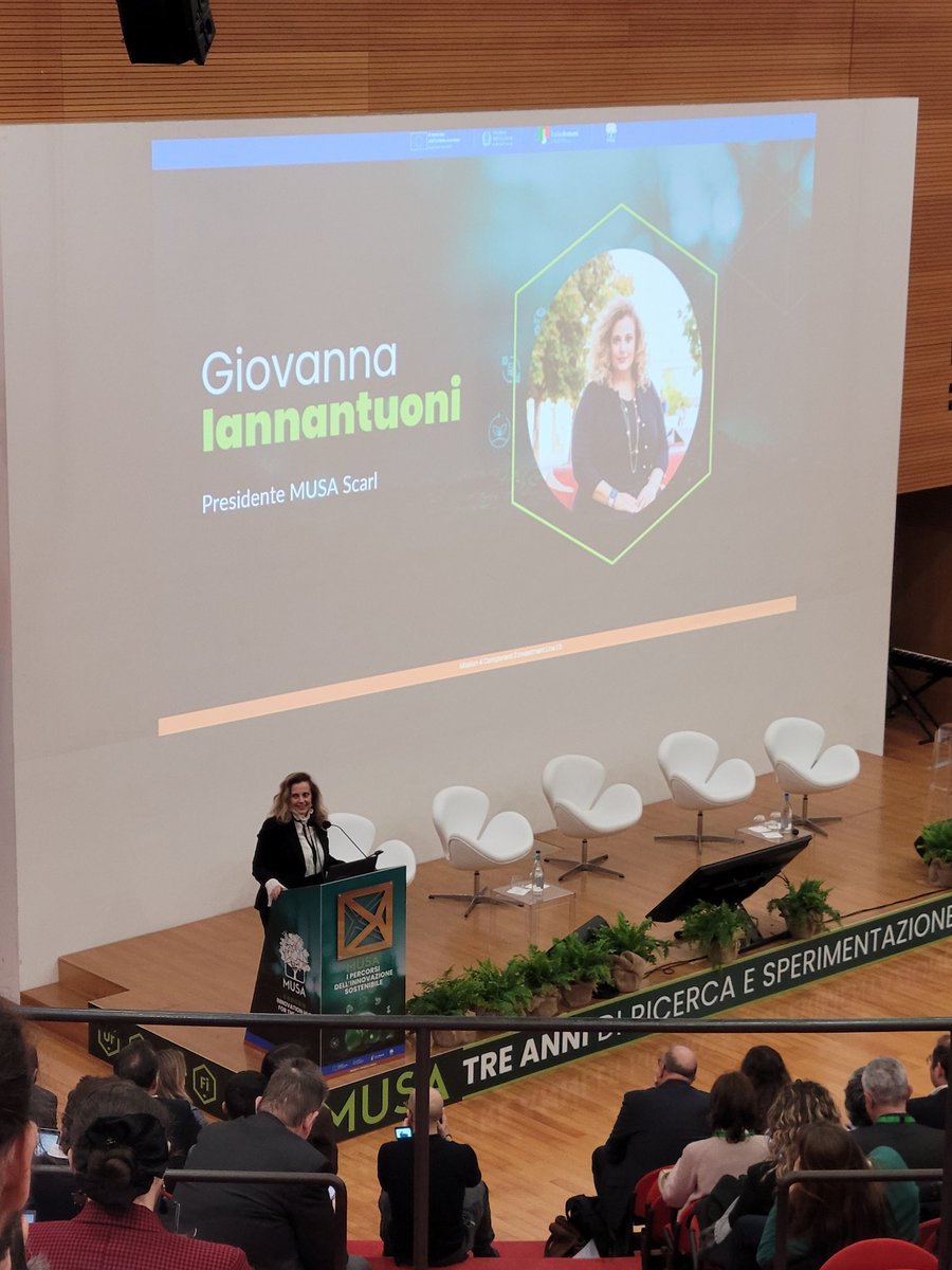 Marco Chiappa tweet media