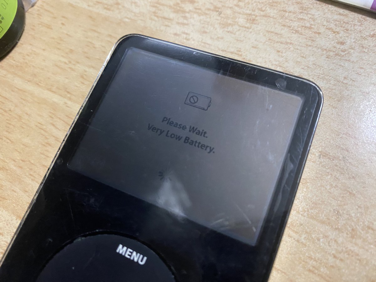 取り敢えず購入は満足したのでこれでおしまいにしようと思っているiPod