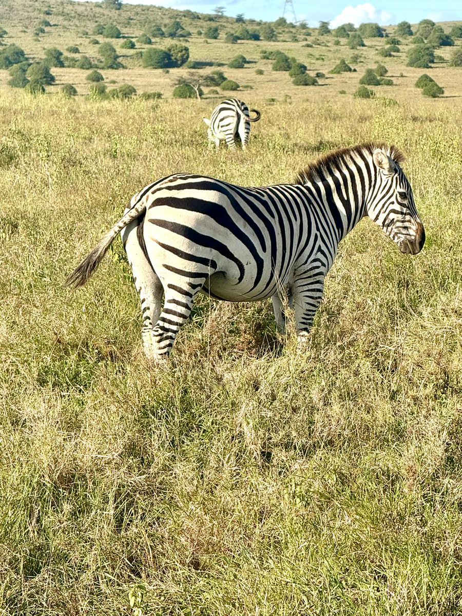 AfroAtlas Travel Network tweet media