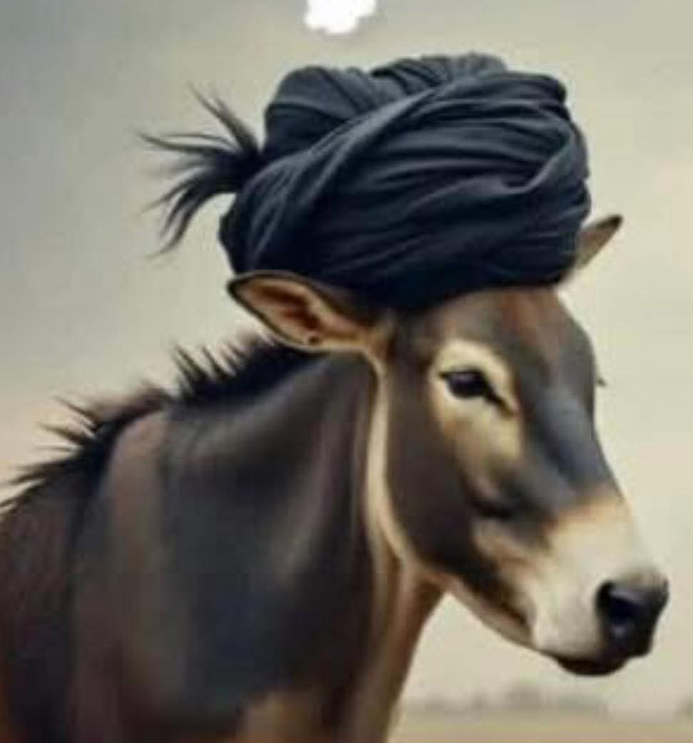 أي بلد تقوده العمامة مصيره القمامة 👇