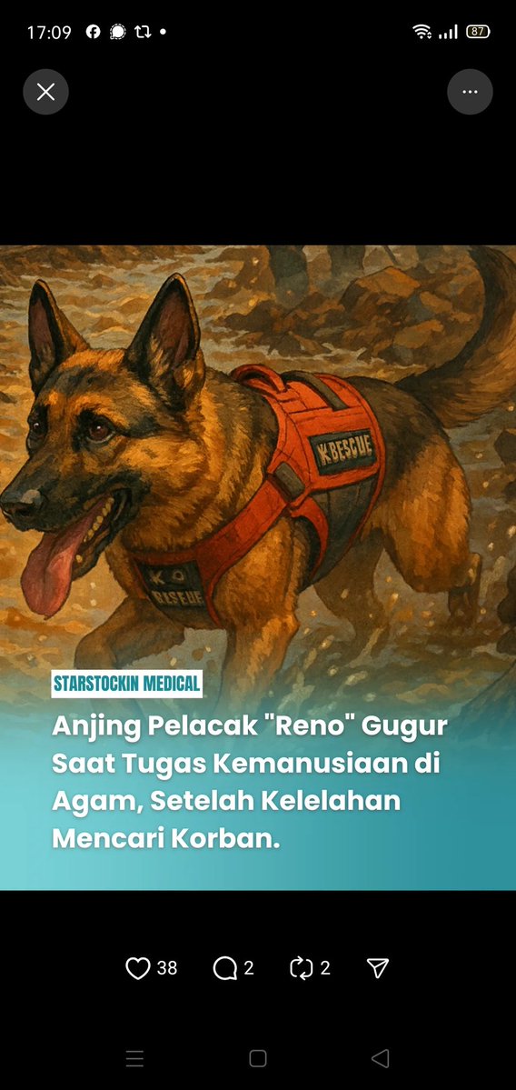 ecosocrights's tweet image. RIP Reno, the hero.