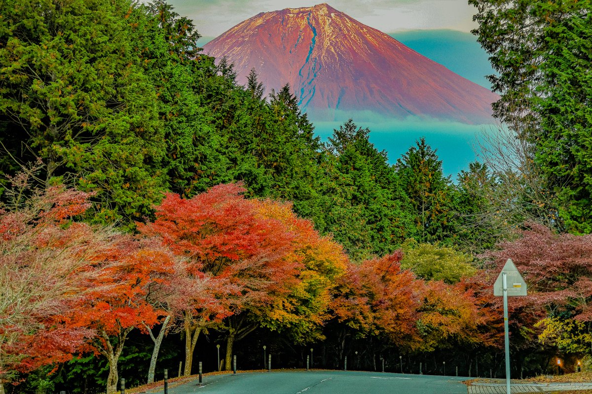 たかたか (@backingline1) / Posts / X