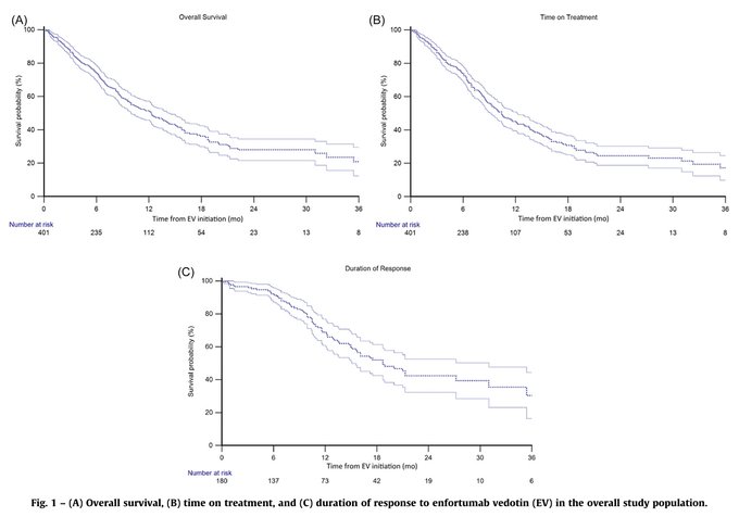 Enrique Grande tweet media