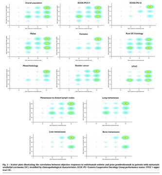 Enrique Grande tweet media