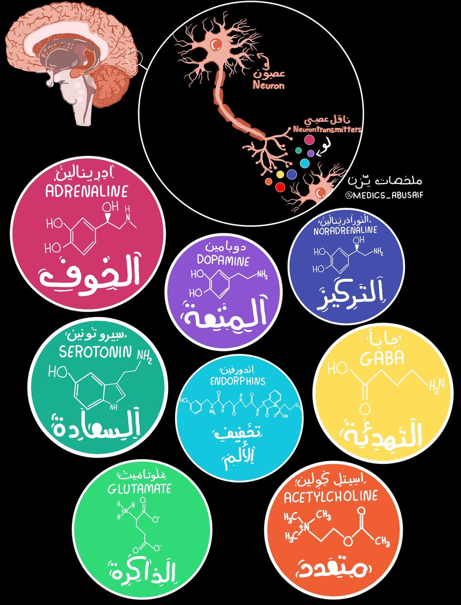 ملخصاتي عن اشهر النواقل العصبية Neurotransmitters وارتباطها ببعض الامراض 🧠