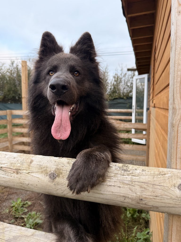 BitMoreDave 🎮 tweet media