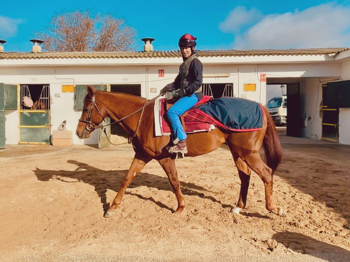 La perfecta jubilación del viejo #TheGame <a href="/CCielodeMadrid/">Cielo de Madrid</a> <a href="/GracielaRodrg/">Graciela Rodríguez</a>