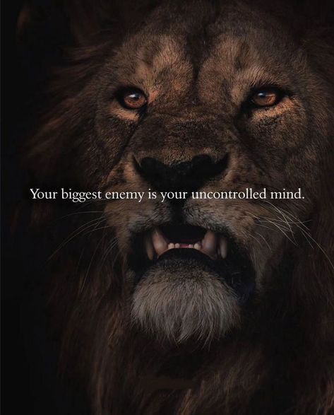 MindMatterMoney's tweet photo. Trust me. https://t.co/bthb0nwIYm