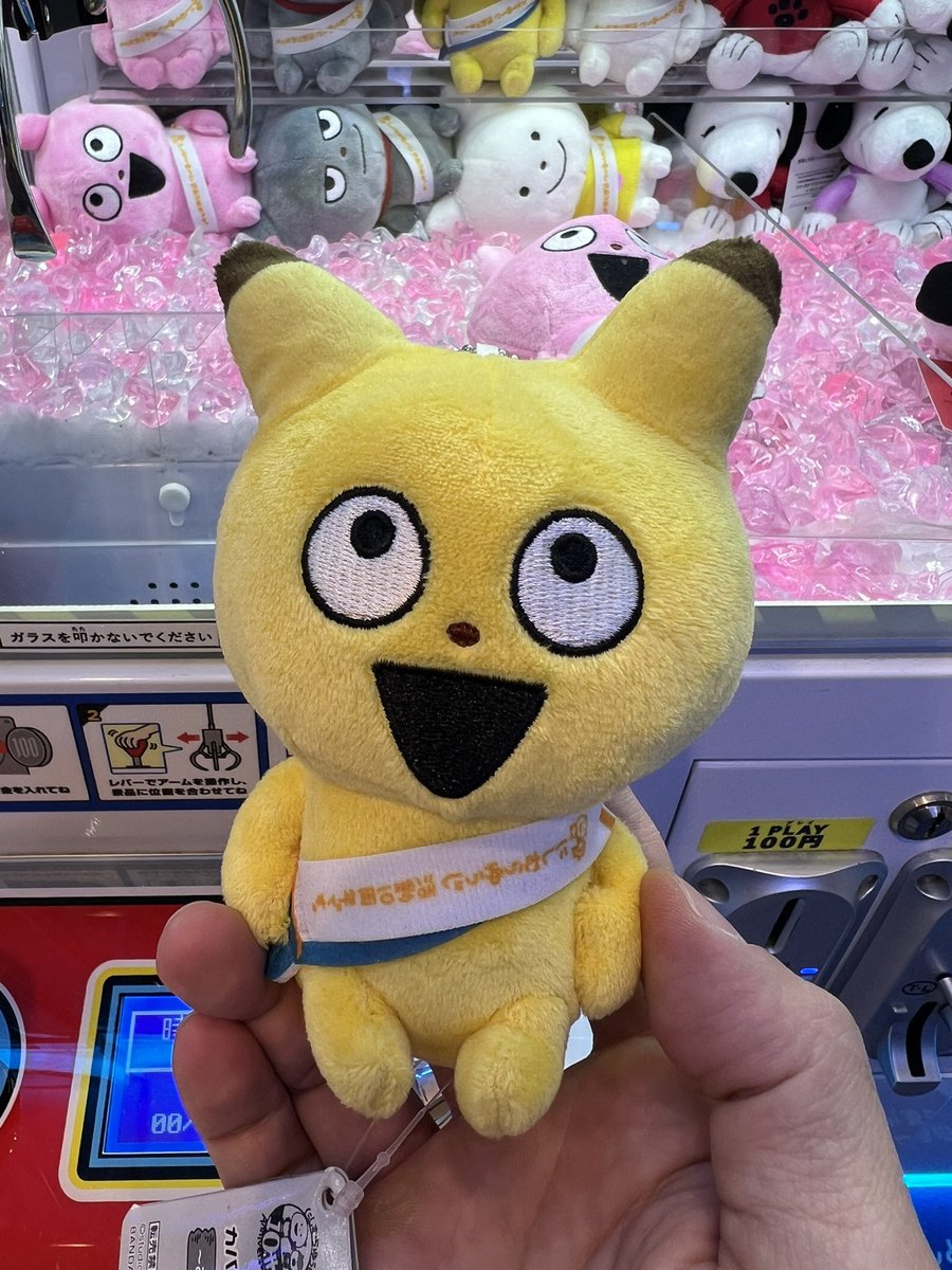tomogamesX's tweet photo. そのさんからはこんちゃんお迎え
#スタジオUG 
#にしむらゆうじ 
#金田こん 
#ごきげんぱんだ https://t.co/swoHG5Xn6T