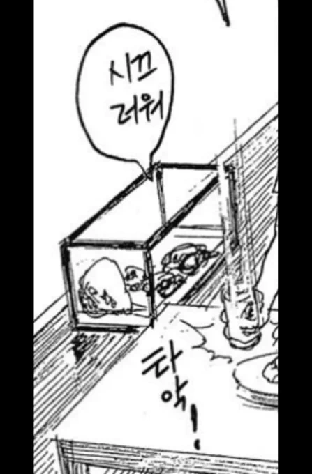 거북이 너무 귀여워 