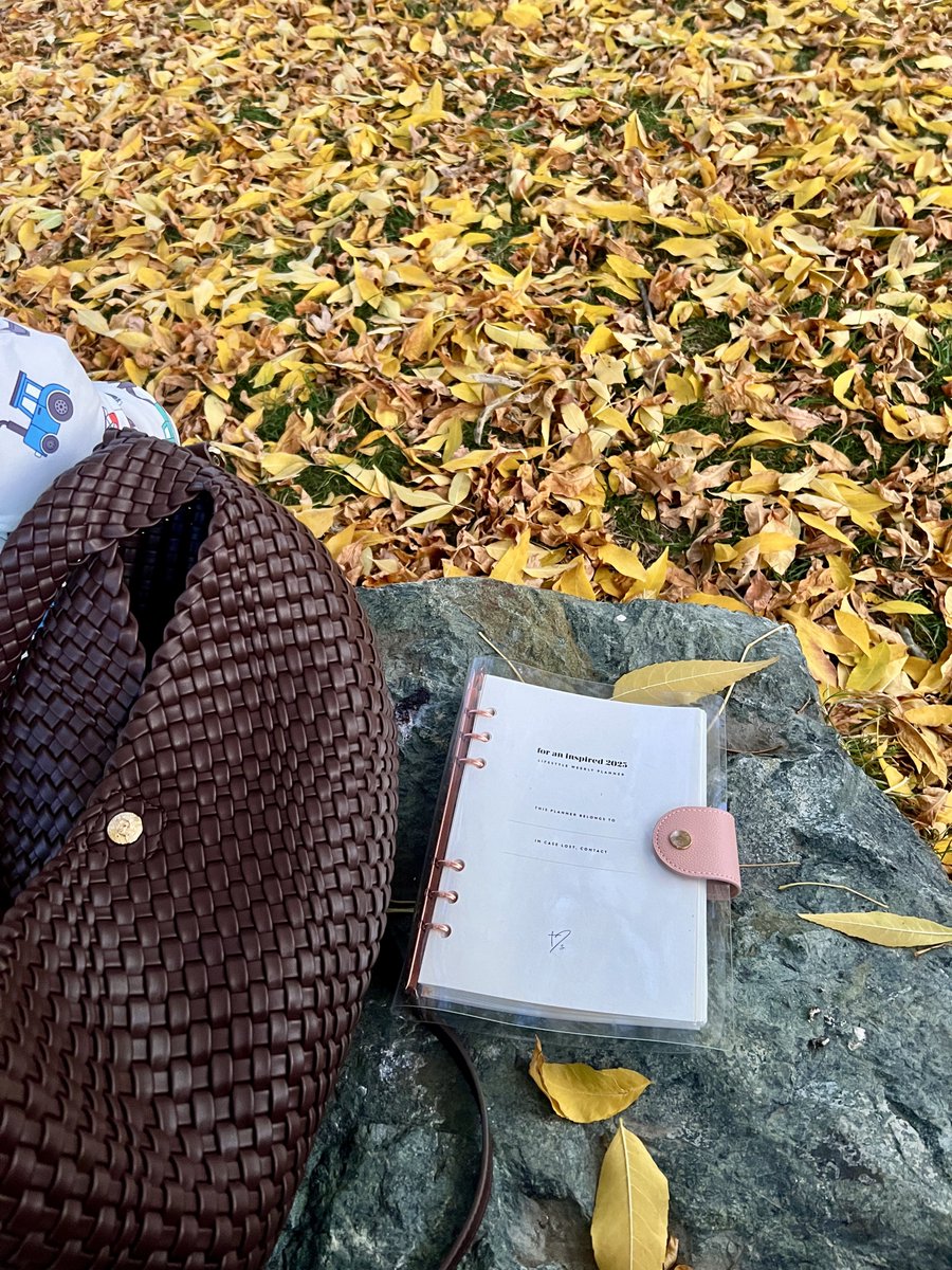 AdeelaCSV's tweet image. Life lately