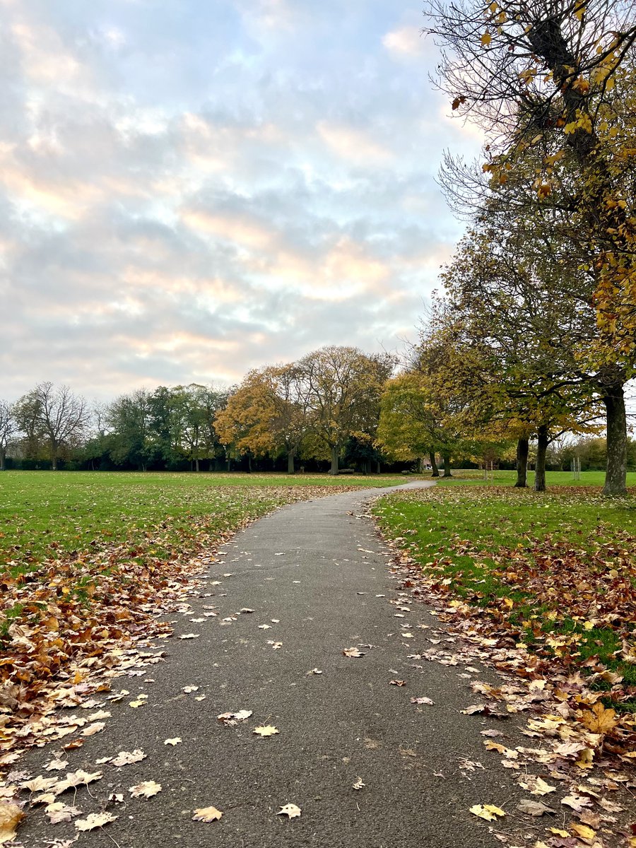 AdeelaCSV's tweet image. Life lately