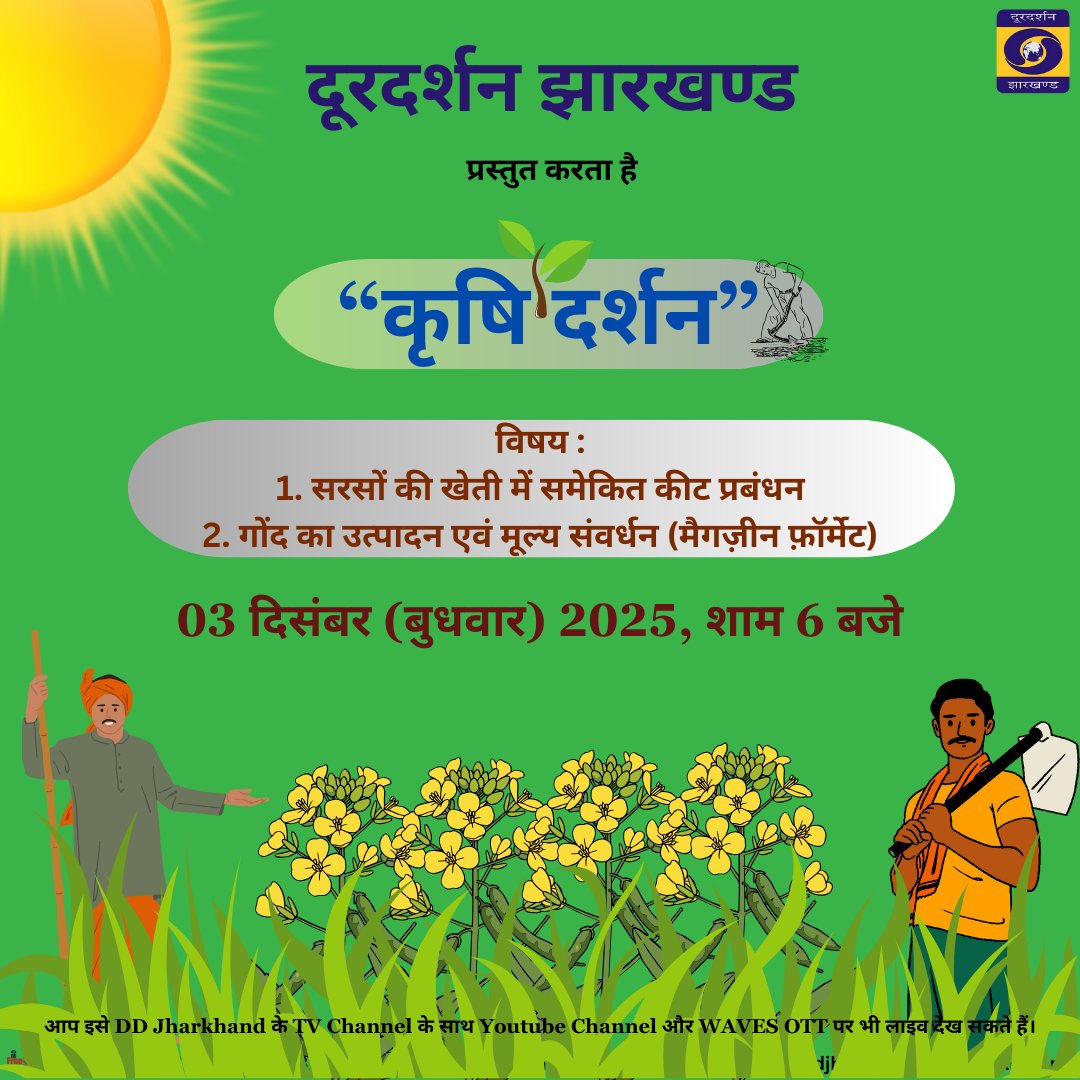 ddjharkhand's tweet image. सरसों की फसल को कीटों से कैसे बचाएं? समेकित कीट प्रबंधन के क्या हैं फायदे?
और गोंद के मूल्यवर्धन की उपयोगी तकनीकें सब कुछ जानिए ‘कृषि दर्शन’ के विशेष कार्यक्रम में। आज शाम छह बजे, डीडी झारखंड पर |

#MustardCrop #pestmanagement #FarmersEducation #SustainableFarming
#AgriInnovation