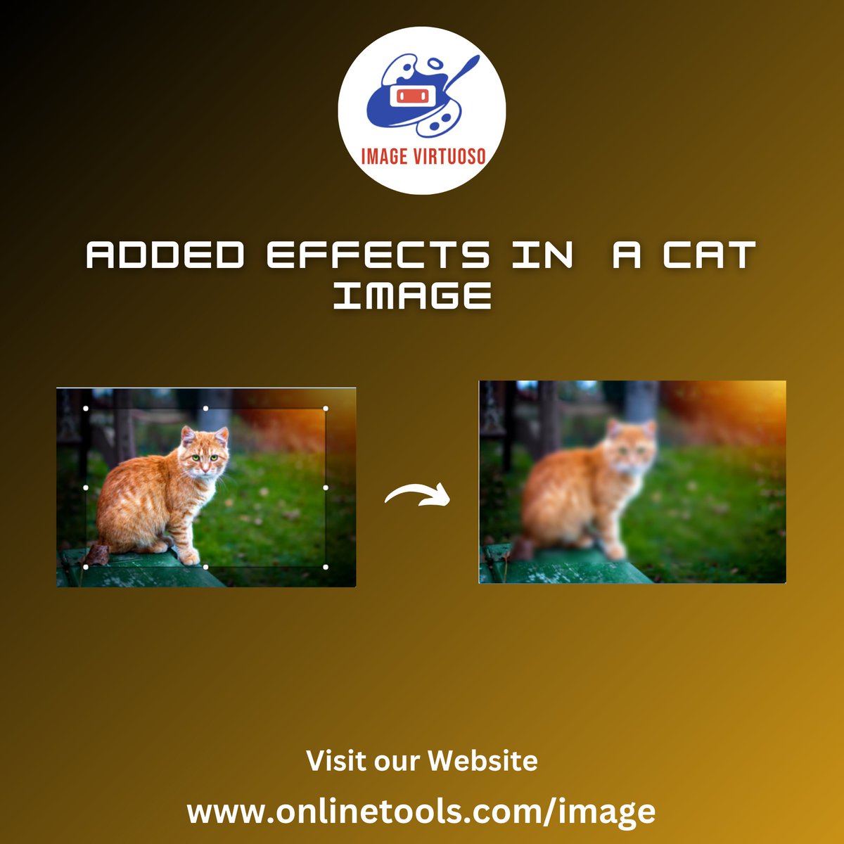 ImageVirtuoso's tweet image. 🐱✨ Watch this cat go from cute to cinematic — all thanks to a simple image effect.
Try our Tool: onlinetools.com/image/add-imag…
#PhotoEditing #VisualEffects #GiftToNature #CreativeTools #ilwx #DNC2024 #jjk267