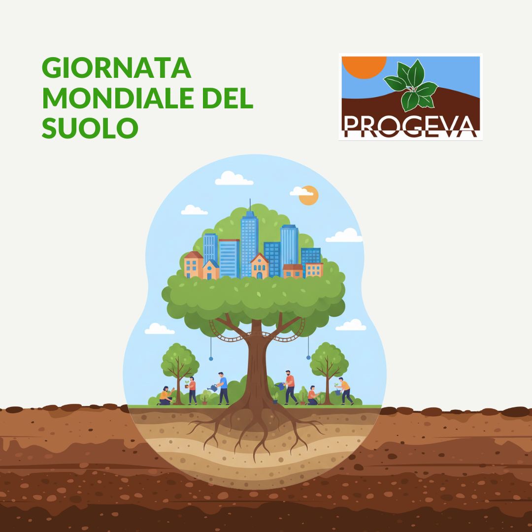 In occasione della #WorldSoilDay, torniamo a ribadire l’importanza di curare e rigenerare i nostri suoli attraverso pratiche come il compostaggio♻️, la creazione di🌳tetti verdi e di🌾orti urbani che restituiscono vita alla Terra, rendendo le città più sane e vivibili.